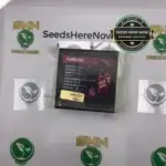 Truffletini - Exotic Genetix