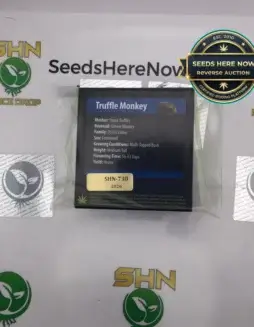 Truffle Monkey (Feminized) (space) Exotic Genetix