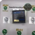 Tarts (Feminized) - Exotic Genetix