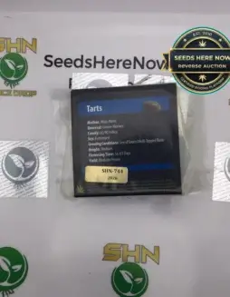 Tarts (Feminized) (space) Exotic Genetix