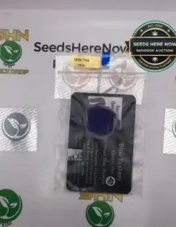 Blue Ecstasy (Regular) (space) Second Generation Genetics