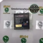 Purple Pineapple (Feminized) - Exotic Genetix