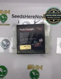 Purple Pineapple (Feminized) (space) Exotic Genetix