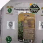 Lemon Kush (Regular) - Humboldt Seed Company