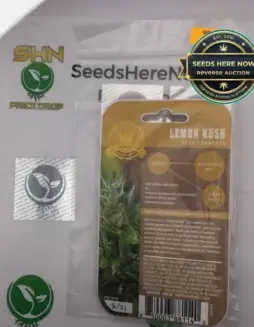 Lemon Kush (Regular) (space) Humboldt Seed Company