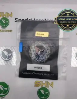 SCHISM (Regular) (space) Lucky Dog Seed Co.