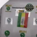 Bubble Goat (Feminized) - IRIE GENETICS