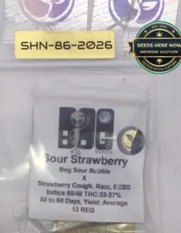 Sour Strawberry (Regular) (space) BOG Seeds