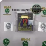 GOOFIEZ - Compound Genetics