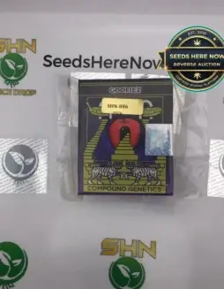 GOOFIEZ (space) Compound Genetics