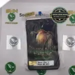 Sensi Star X Puck HP BC1 (Regular) - Crickets & Cicada Seeds