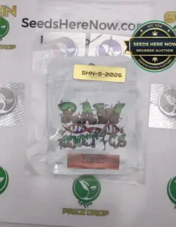 Fusion (Feminized) (space) Raw Genetics