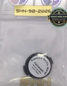 Roasted Garlic Margy (Regular) (space) Cannarado Genetics