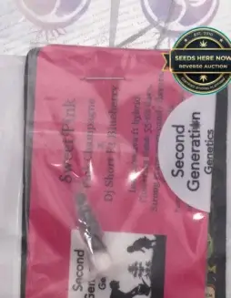 Sweet Pink (Regular) (space) Second Generation Genetics