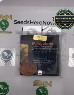 Mangolada (Regular) (space) Green Fire Genetics