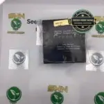 Grand Blueberry Pie (Regular) - Green Fire Genetics