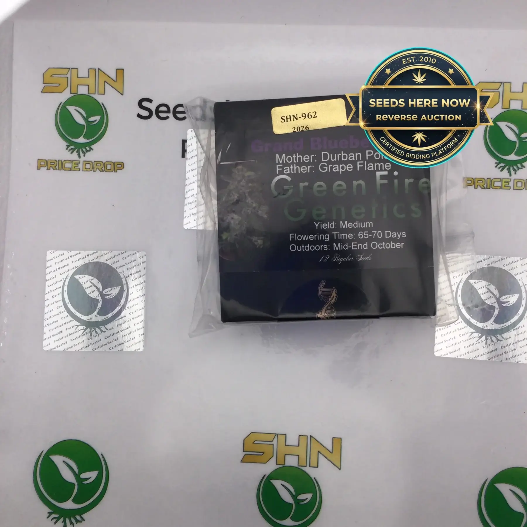 Grand Blueberry Pie regular cannabis seeds by Green Fire Genetics - Seeds Here Now