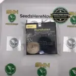 Horchataz (Regular) - Green Fire Genetics