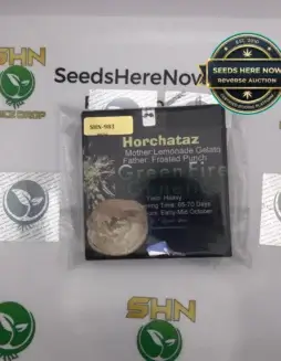 Horchataz (Regular) (space) Green Fire Genetics