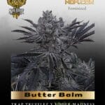 Butter Balm (Feminized) - Solfire Gardens