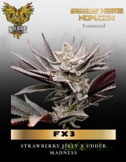 FX3 (Feminized) (space) Solfire Gardens