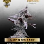 Lung Buster (Feminized) - Solfire Gardens