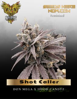 Shot Caller (Feminized) (space) Solfire Gardens