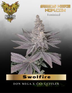 Swolfire (Feminized) (space) Solfire Gardens