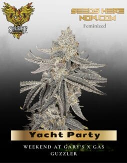 Yacht Party (Feminized) (space) Solfire Gardens