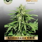 Limonene CBG (Feminized) - Trilogene Seeds