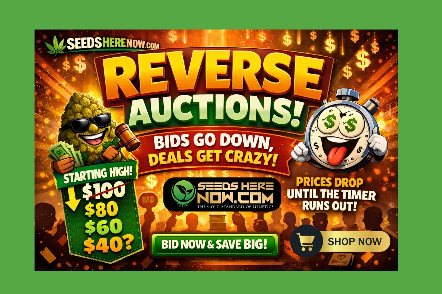 Autoflower Seeds Promotion