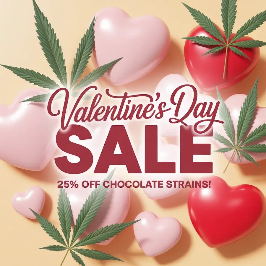 Autoflower Seeds Promotion