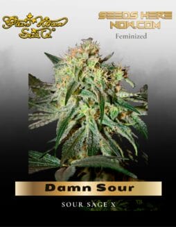 Damn Sour (Feminized) (space) Greenhouse Seed Co.