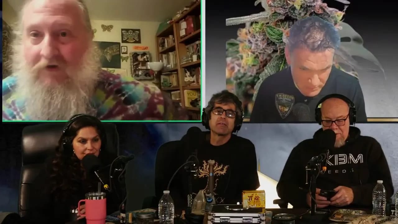 Clear screenshot of a video interview with two remote guests in top windows and three in(space)studio hosts at microphones — a well(space)framed shot for a section about DJ Short lineage and SeedsHereNow.