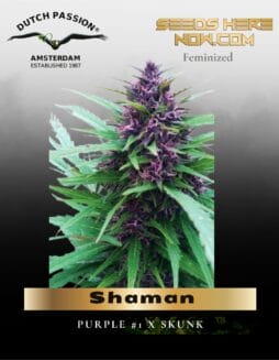 Shaman (Feminized) (space) Dutch Passion