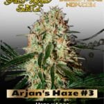 Arjan's Haze #3 (Feminized) - Greenhouse Seed Co.