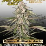 Green-O-Matic Auto (Feminized) - Greenhouse Seed Co.