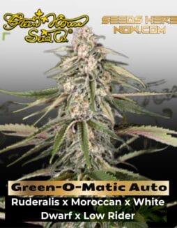 Green(space)O(space)Matic Auto (Feminized) (space) Greenhouse Seed Co.