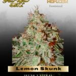 Lemon Skunk (Feminized) - Greenhouse Seed Co.
