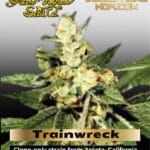 Trainwreck (Feminized) - Greenhouse Seed Co.