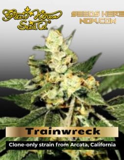 Trainwreck (Feminized) (space) Greenhouse Seed Co.