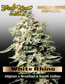 White Rhino (Feminized) (space) Greenhouse Seed Co.