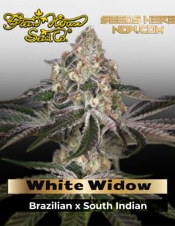 White Widow (Feminized) (space) Greenhouse Seed Co.