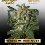 White Widow Auto (Feminized) - Greenhouse Seed Co.
