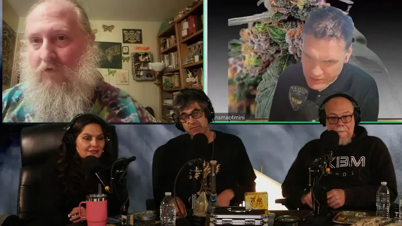 Well(space)lit podcast panel of three hosts with two remote guests on screens above; the top(space)right screen shows a macro cannabis bud image emphasizing strain discussion.