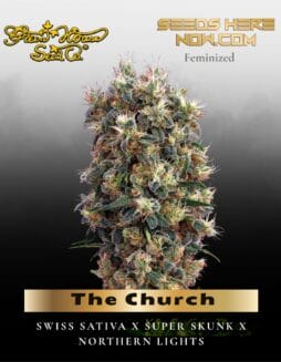 The Church (Feminized) (space) Greenhouse Seed Co.