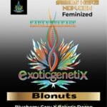 Blonuts (Feminized) - Exotic Genetix