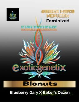 Blonuts (Feminized) (space) Exotic Genetix