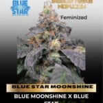 BLUE STAR MOONSHINE (Feminized) - BLUE STAR SEED CO