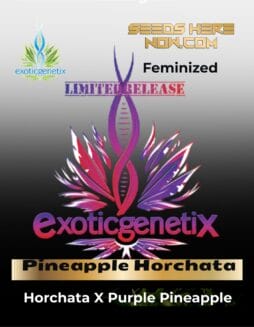 Pineapple Horchata (Feminized) (Space) Exotic Genetix – Pineapple Horchata (Feminized) (space) Exotic Genetix